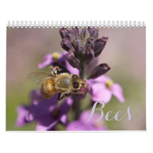 BEES DIY CALENDARS