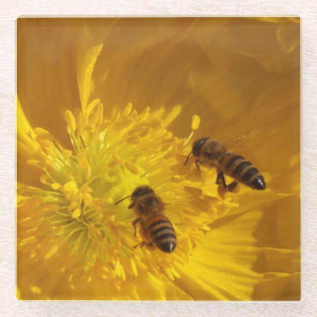 Bees Glass Coaster (Front)