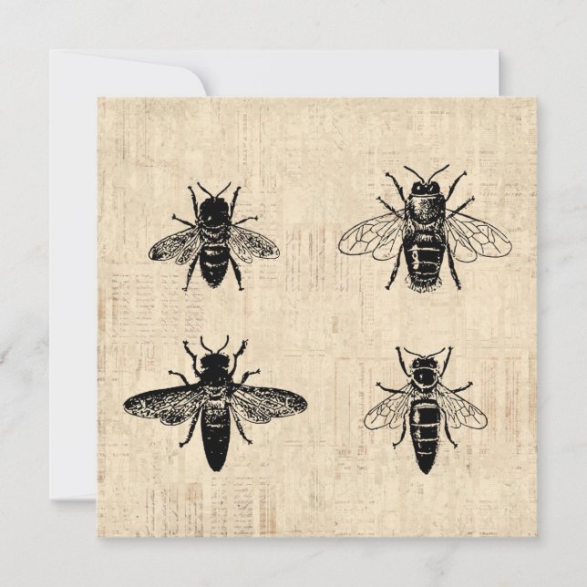 Bees Illustration Antique Bee Art Vintage Design Invitation (Front)