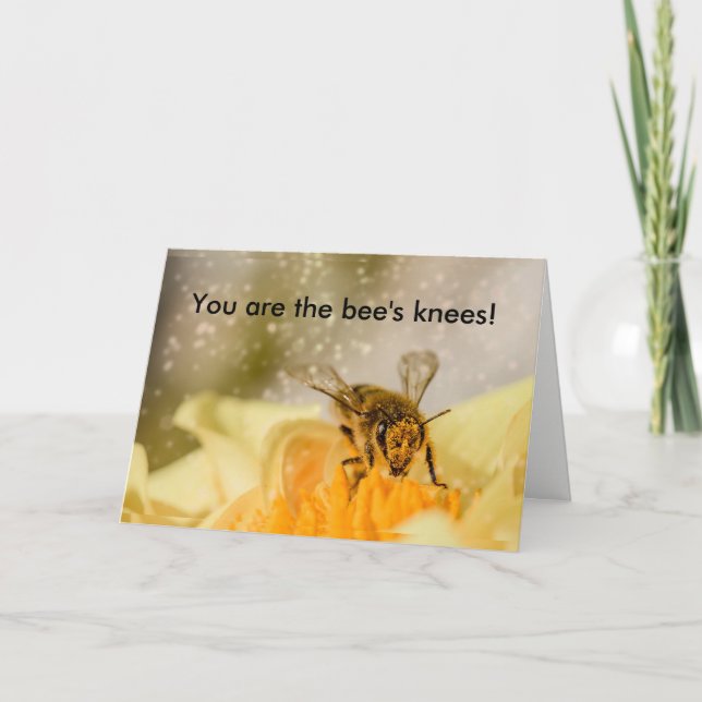 Bee's Knees Congratulations Card (Front)