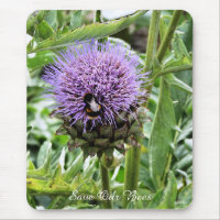 BEES