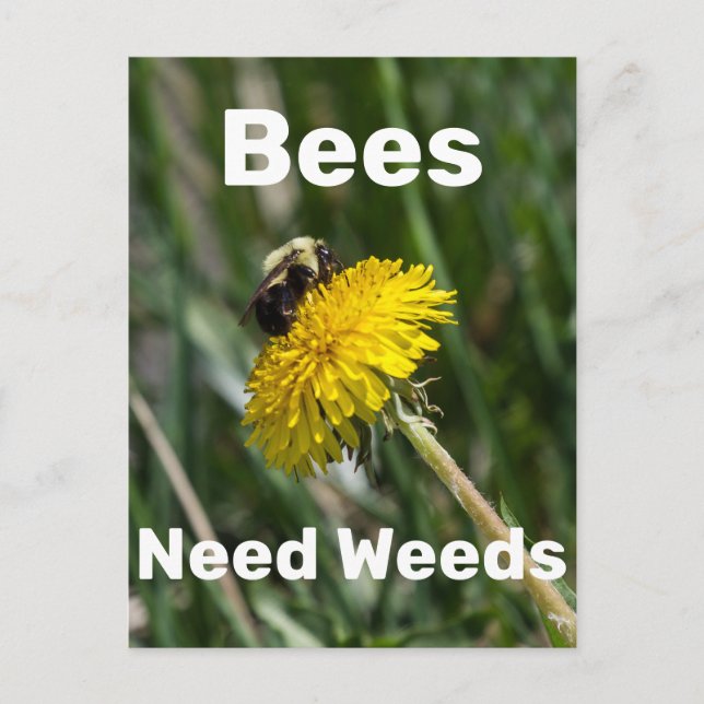 Bees Need Weeds Postcard (Front)