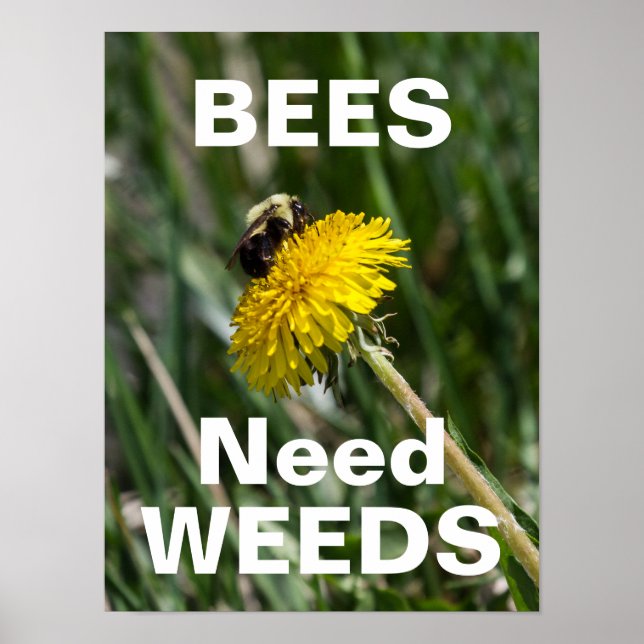 Bees Need Weeds Poster (Front)