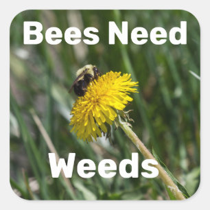Bees Need Weeds Square Sticker