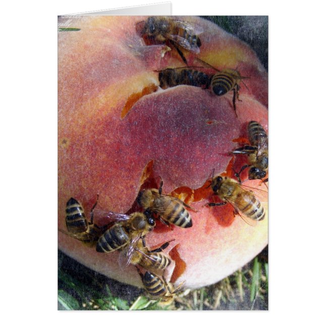 Bees on a Peach (Front)