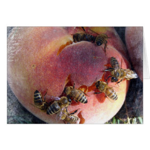 Bees on a Peach
