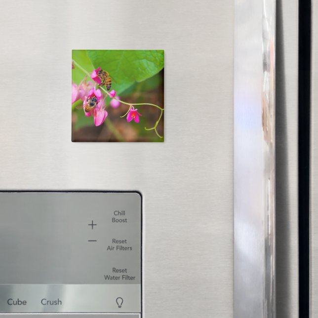 Bees On Coral Vine Flowers Magnet (In Situ (Fridge))