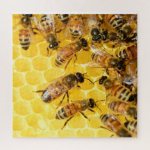 Bees on Honeycomb - Puzzle