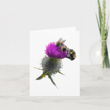Bees on thistle flower card