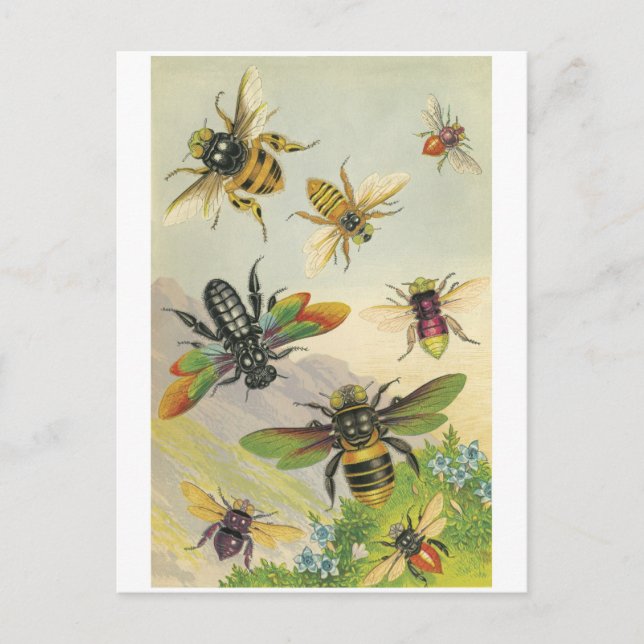 Bees Postcard (Front)