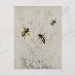 Bees Postcard