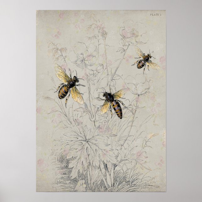 Bees Poster (Front)