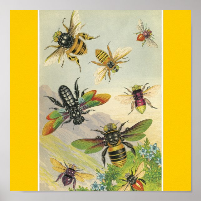 Bees Poster (Front)