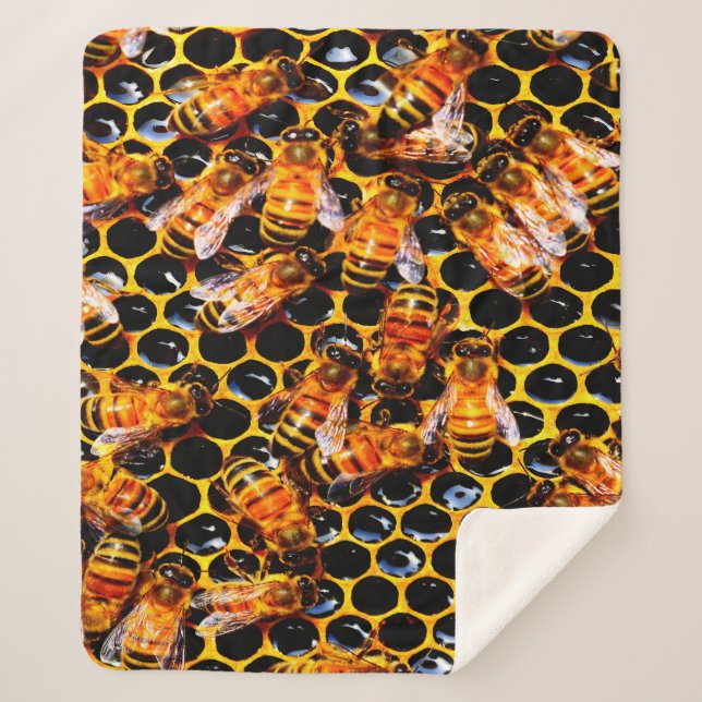 BEES    SHERPA BLANKET (Front)
