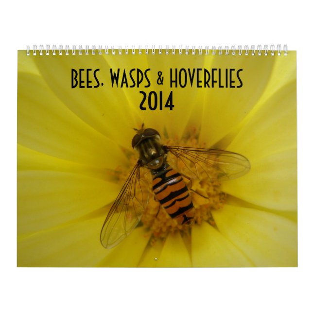 Bees Wasps and Hoverflies 2014 Calendar (Cover)