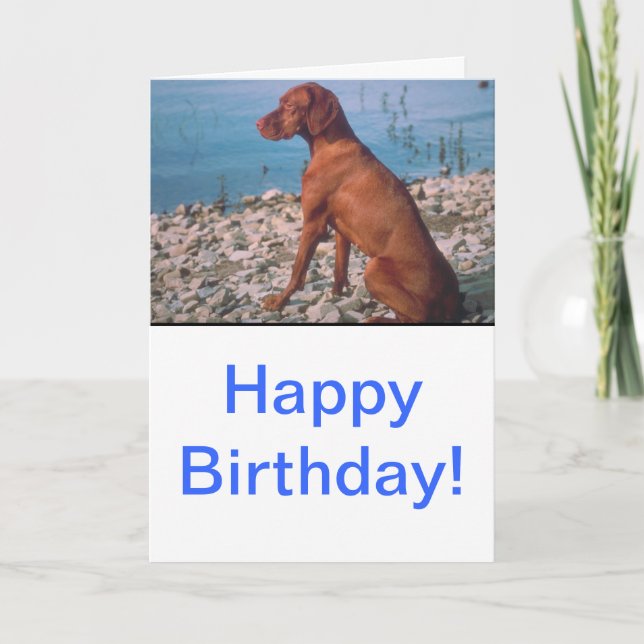 Beeslettuce Card (Front)