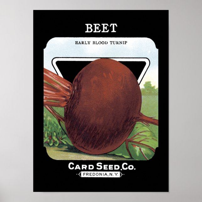 Beet Vintage Seed Packet Poster (Front)
