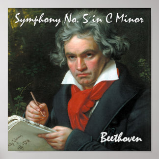 Beethoven Canvas Print