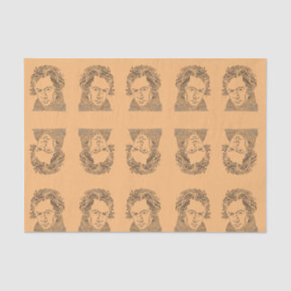 Beethoven, music notes, music teacher, music tissue paper
