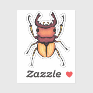 Beetle Art Entomology Insect