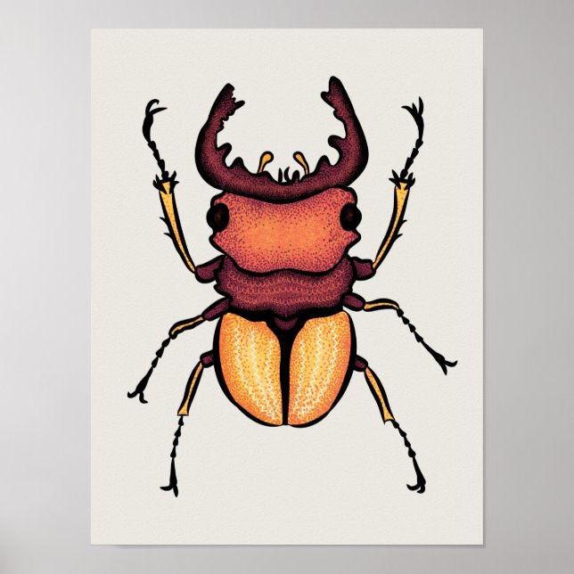 Beetle Art Entomology Insect Poster (Front)