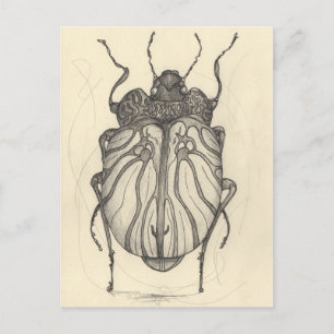 Beetle ballet holiday postcard