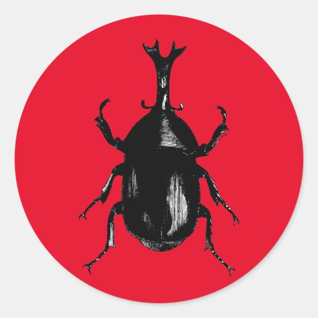 Beetle Beetles Insect Bug Classic Round Sticker (Front)