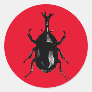 Beetle Beetles Insect Bug Classic Round Sticker