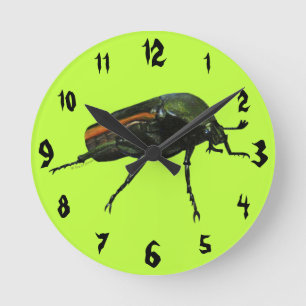 Beetle Bug Acrylic Wall Clock