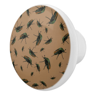 Beetle Bug Knobs