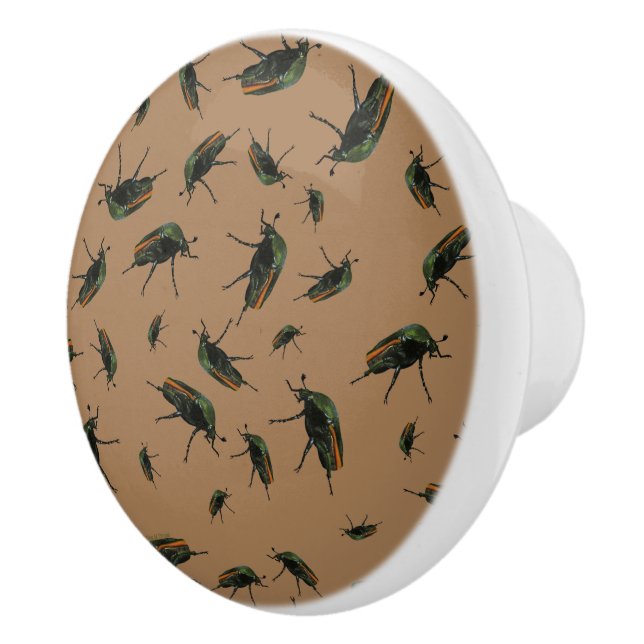 Beetle Bug Knobs (Right)