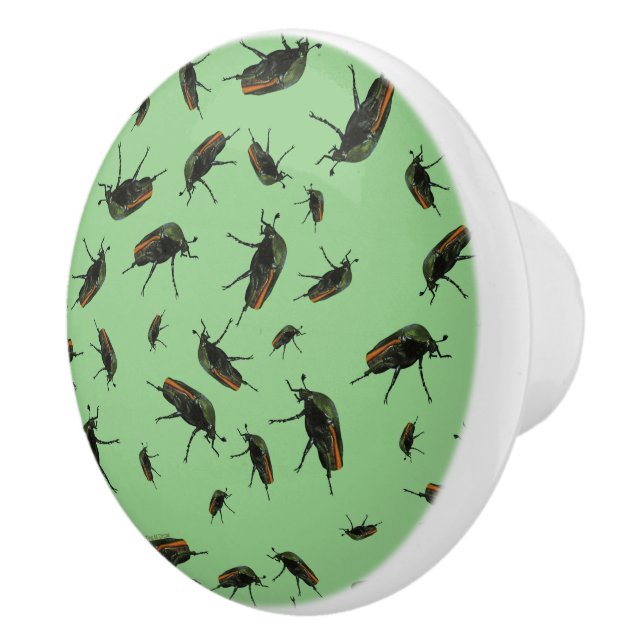 Beetle Bug Knobs (Right)