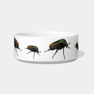 Beetle Bug Pet Bowls
