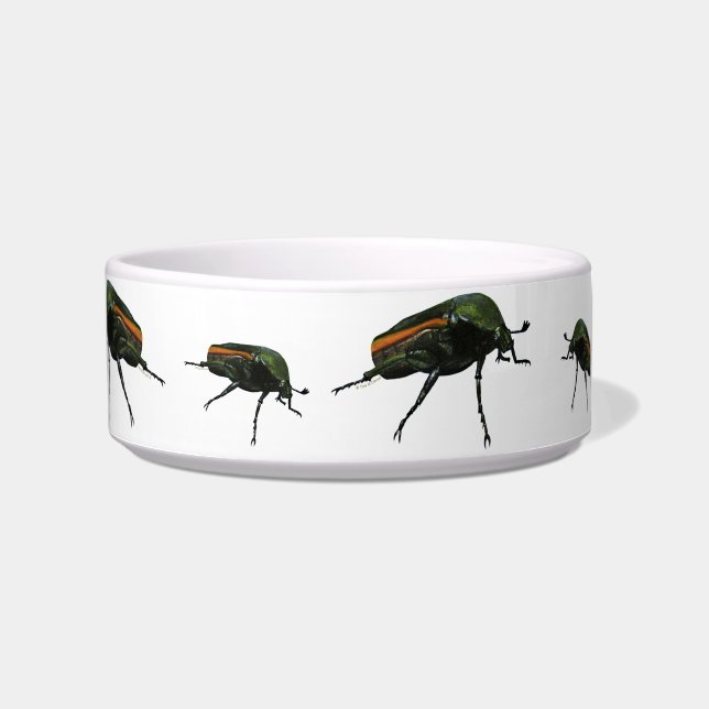 Beetle Bug Pet Bowls (Front)