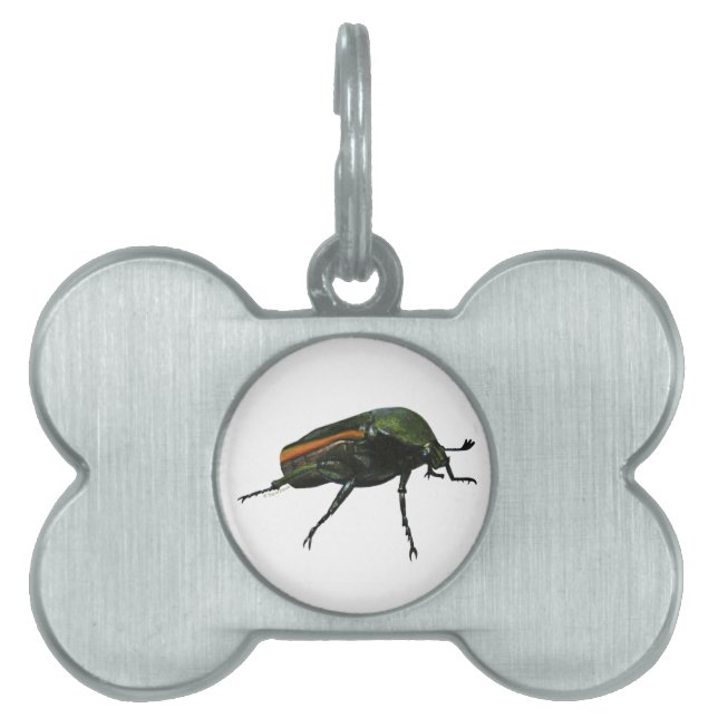 Beetle Bug Pet Tags (Front)