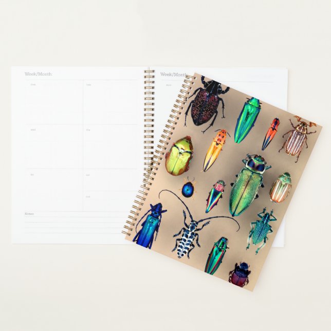 Beetle Collection Planner (Display)