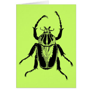 Beetle Insect Bug Vintage Wood Engraving