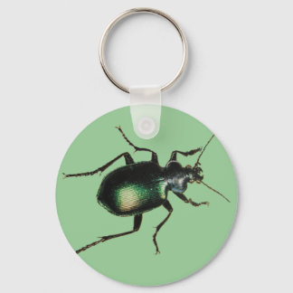Beetle Key Ring