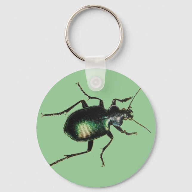 Beetle Key Ring (Front)