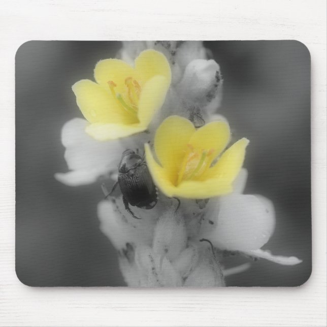 Beetle On Mullein Flower Black White Mousepad (Front)