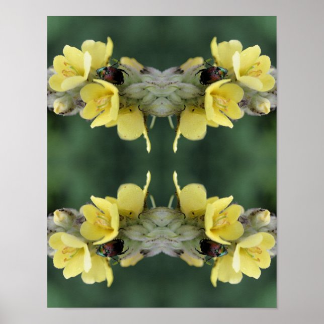 Beetle On Wild Mullein Flower Abstract  Poster (Front)