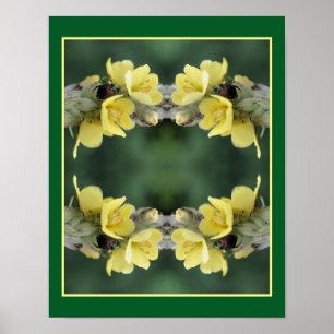 Beetle On Wild Mullein Flower Abstract  Poster
