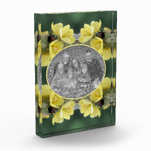 Beetle On Wild Mullein Flower Add Your Photo Block