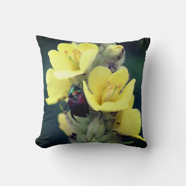Beetle On Wild Mullein Flower Close Up  Cushion (Front)