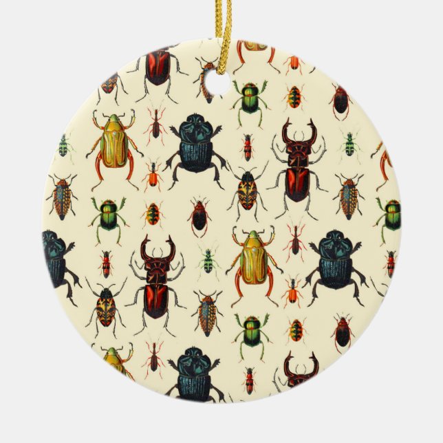 Beetle Varieties Ceramic Ornament (Front)
