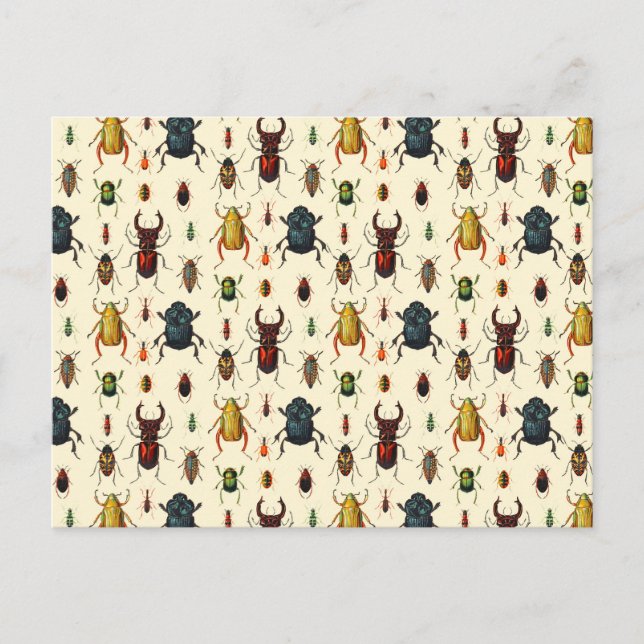 Beetle Varieties Postcard (Front)