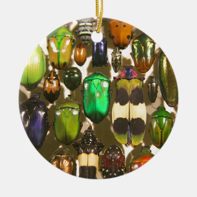 Beetles, Bugs and Insects Ceramic Tree Decoration (Front)