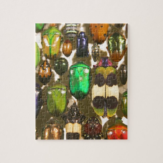 Beetles, Bugs and Insects Jigsaw Puzzle (Vertical)