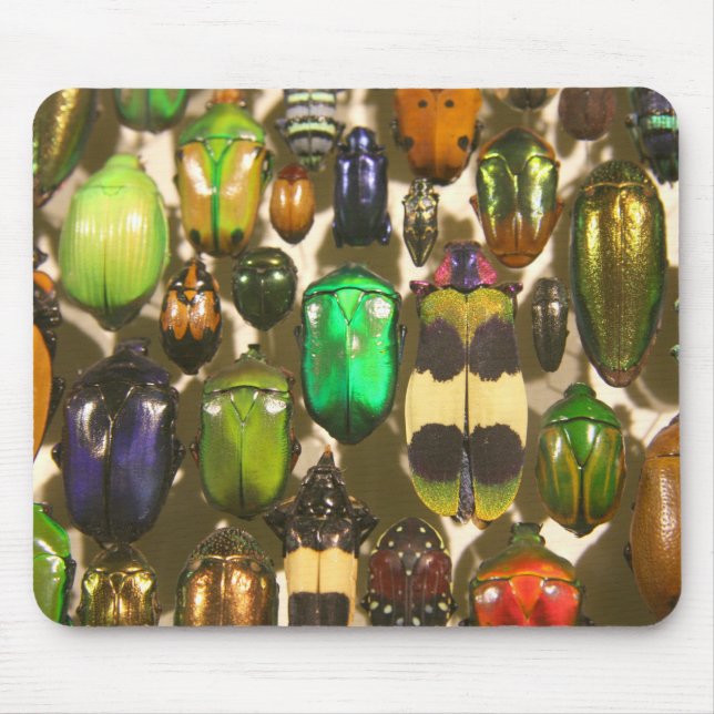 Beetles, Bugs and Insects Mouse Pad (Front)