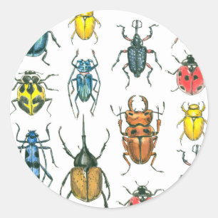 Beetles Classic Round Sticker